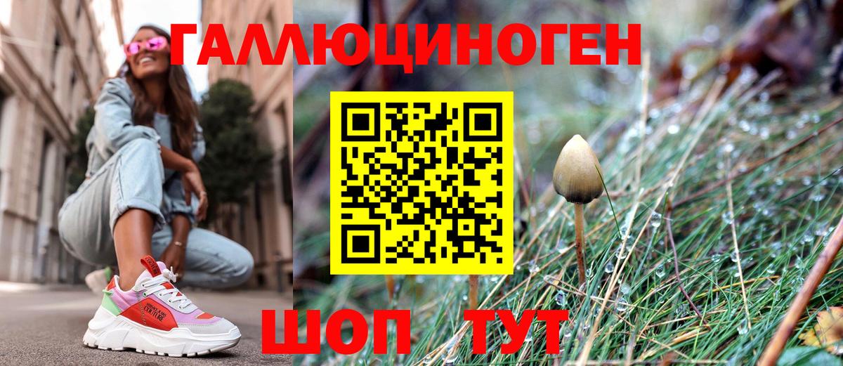 Екатеринбург  Псилоцибиновые грибы GOLDEN TEACHER  Вход с VPN 